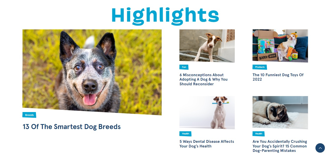 The product blog by BarkBox provides educational content that builds brand trust.