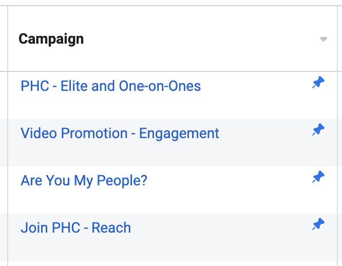 Pin Campaigns in Facebook Ads Manager