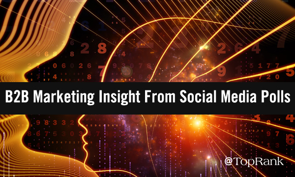 B2B marketing insight from social media polls image
