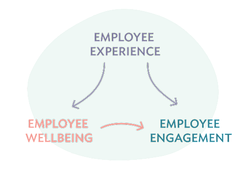 employee engagement and employee experience