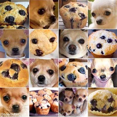 dog and chocolate chip muffin AI example