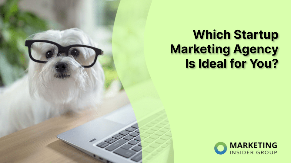 dog with glasses using laptop computer to find the best startup marketing agency